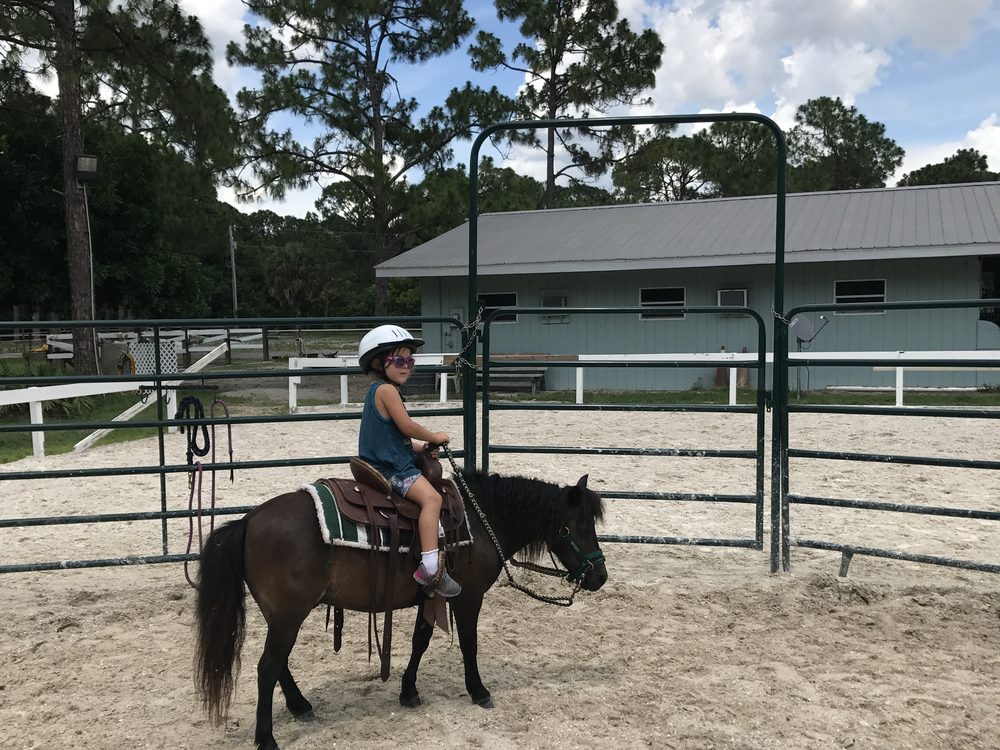 Audrey riding Elvis alone in the round pen